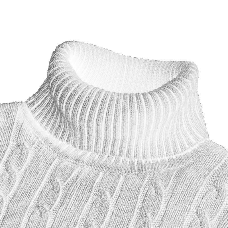 Théo - Pull à col roulé en tricot exclusif pour hommes