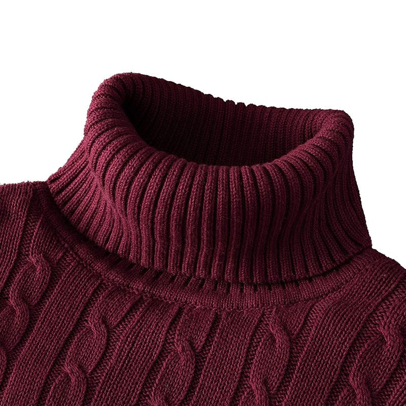 Théo - Pull à col roulé en tricot exclusif pour hommes